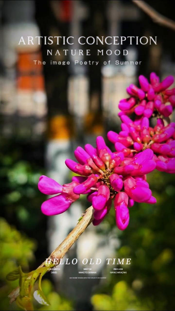 ARTISTIC CONCEPTION。
HELLO OLD TIME，NATU