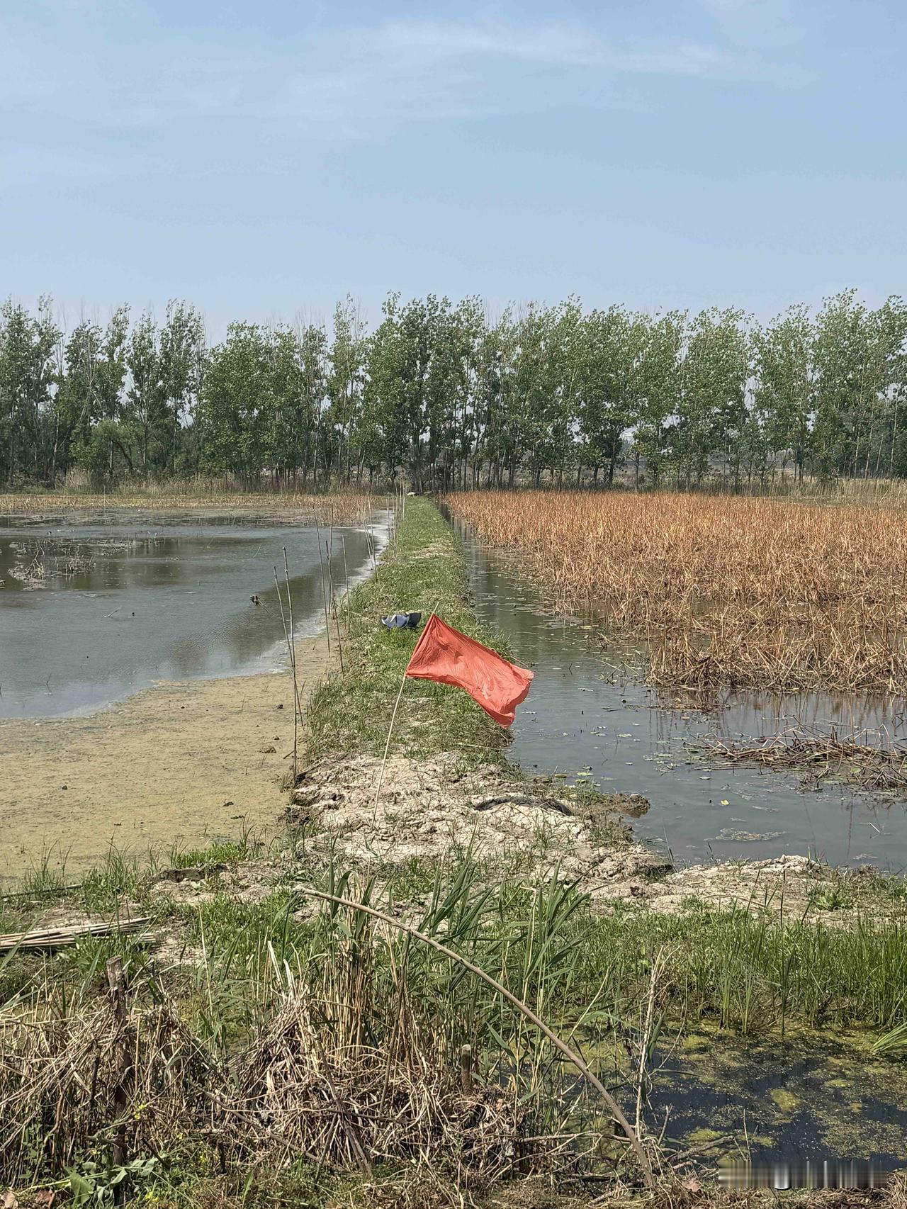 【小对联】
上：……？
下：捕捞。