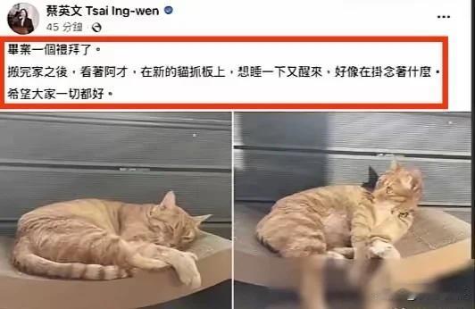 蔡英文毕业后首次发文，以自家猫“阿才”暗喻自己！
  “毕业一个礼拜了，搬完家之