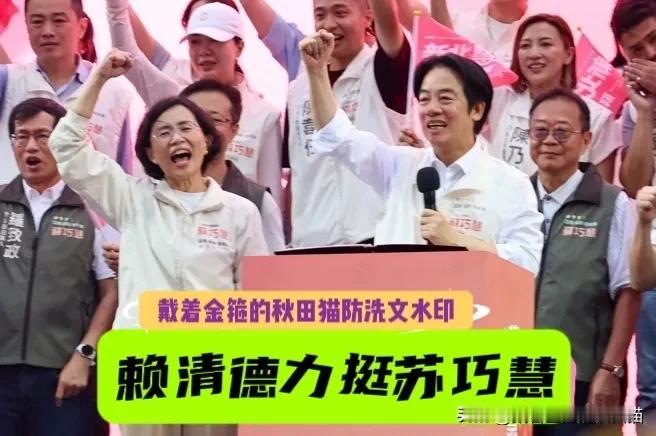 蔡英文、赖清德、陈其迈同时现身，苏贞昌家族重兵压境新北，苏巧慧已不可小觑，侯友宜