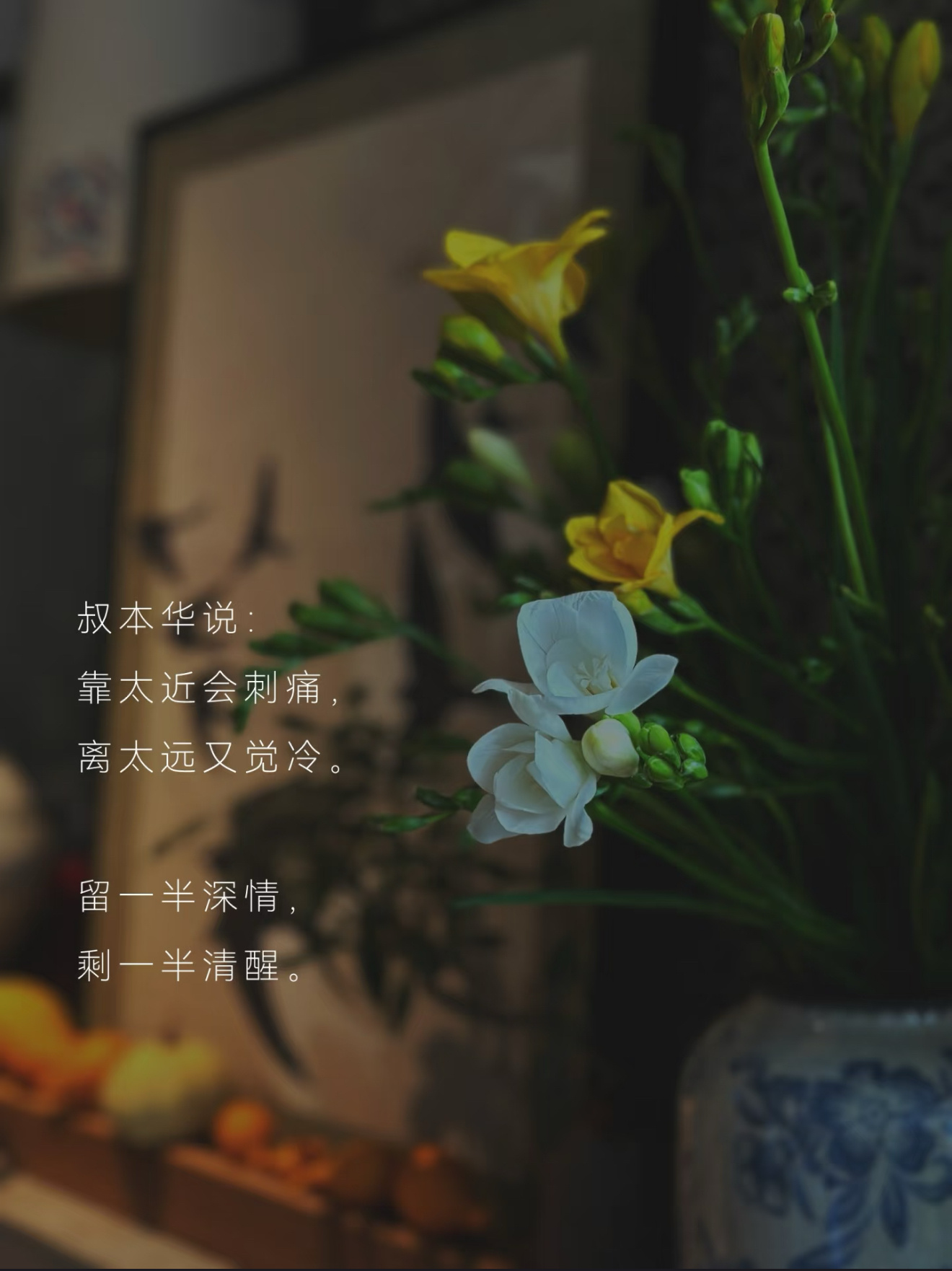 文学名句汇总 “哪里会有人喜欢孤独！不过是不乱交朋友罢了。那样只能落得失望。”（