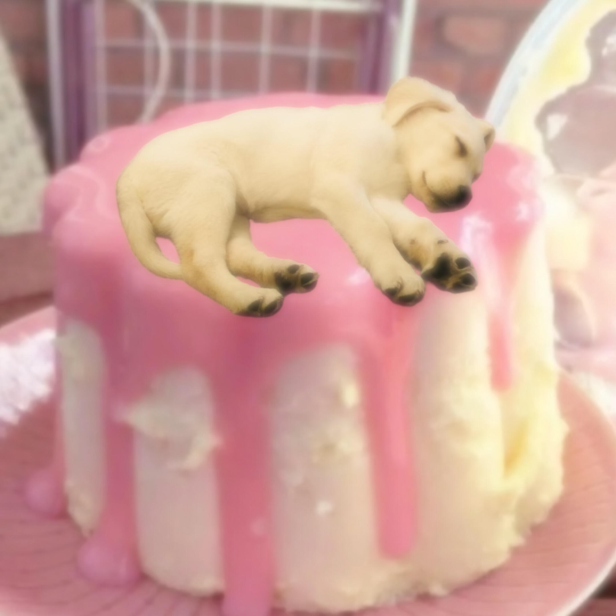 ૮(˶ᵔ ᵕ ᵔ˶)ა 