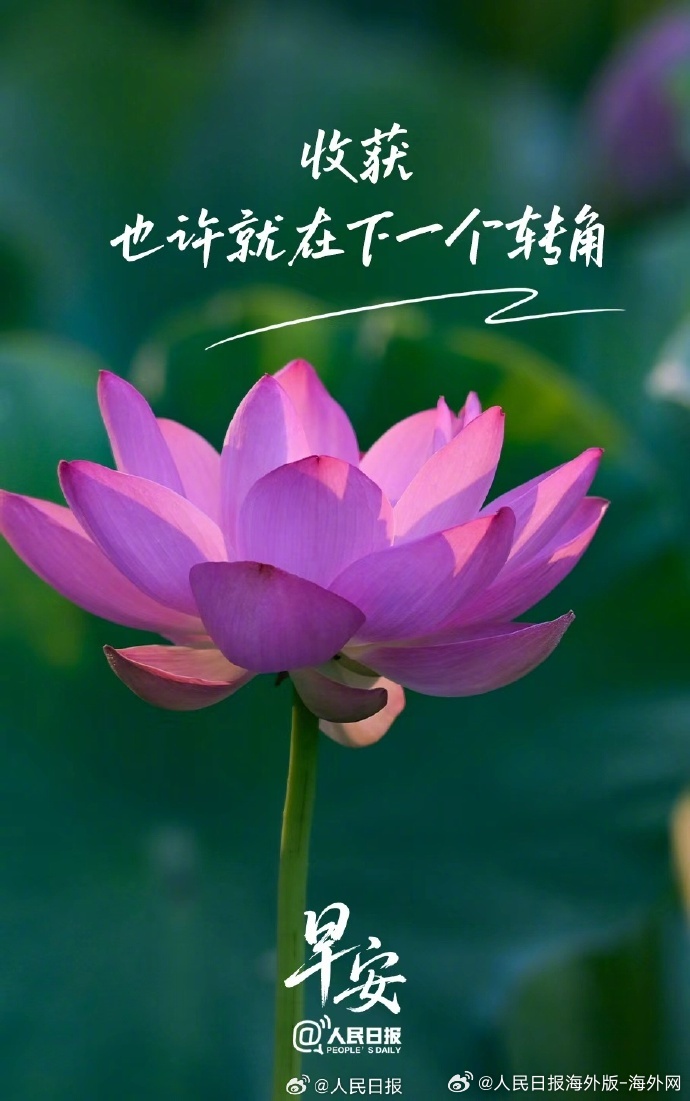 #向海外朋友问好# 【收获也许就在下一个转角】生活的道路难免会有曲折，但请相信，