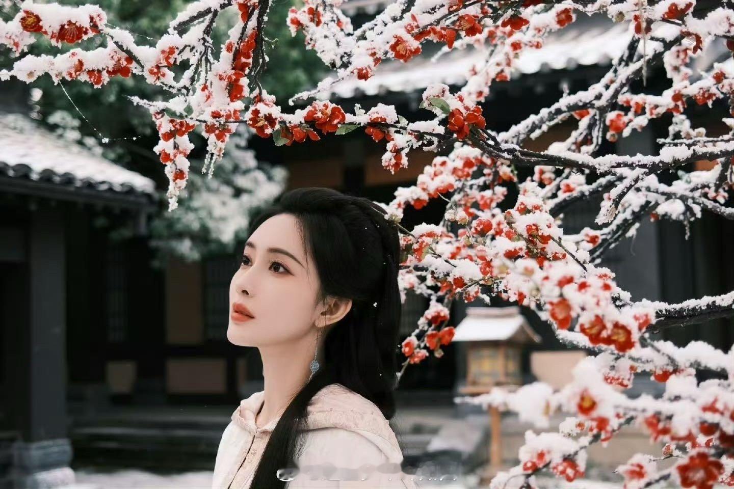 孟子义百花杀眼神戏 孟子义简直是“眼神戏教科书”！《百花杀》里沈汐和的每个眼神都