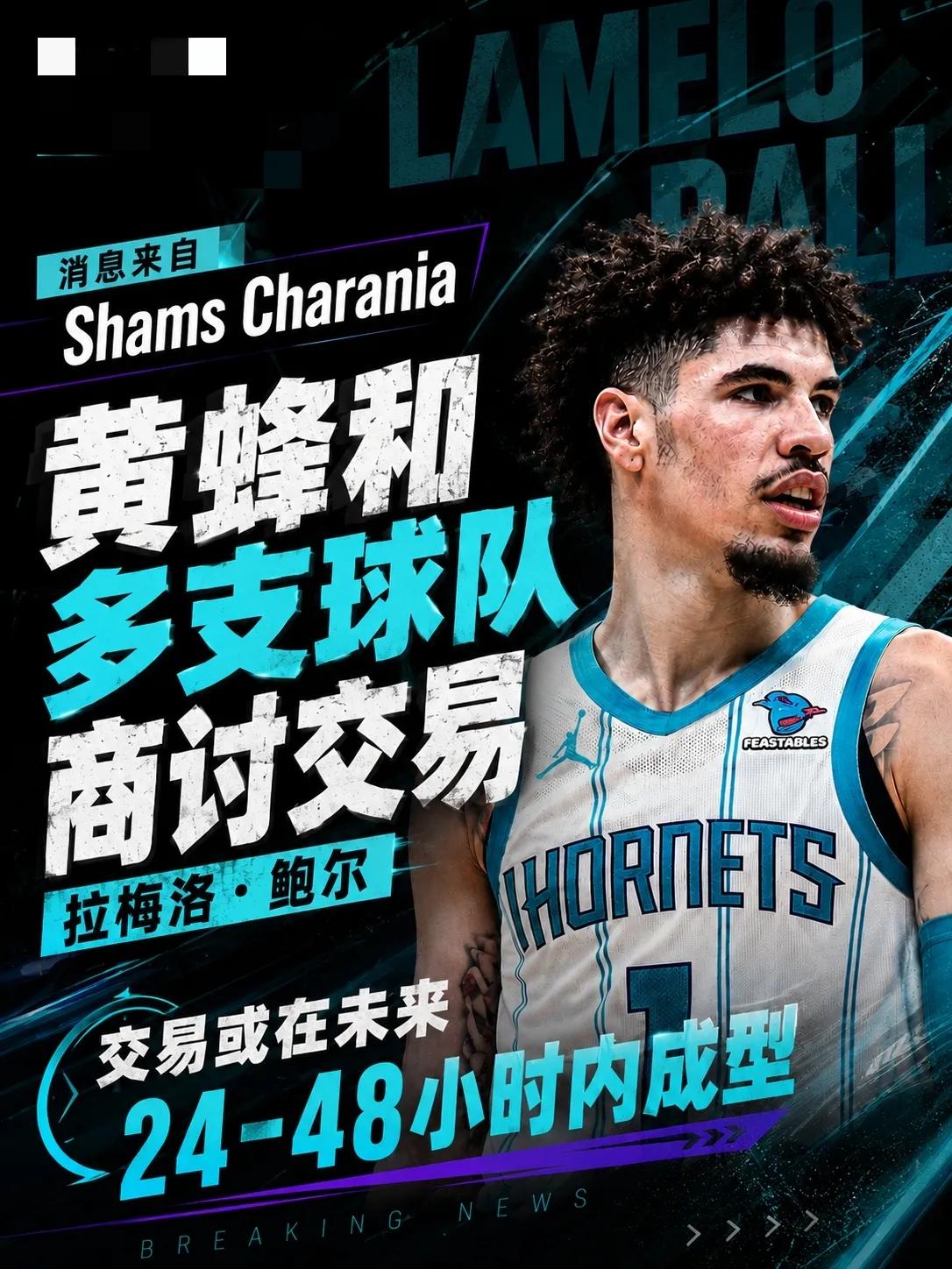 森林狼这是病急乱投医啊
据据ESPN名记Shams 报道，黄蜂有意将拉梅洛·鲍尔