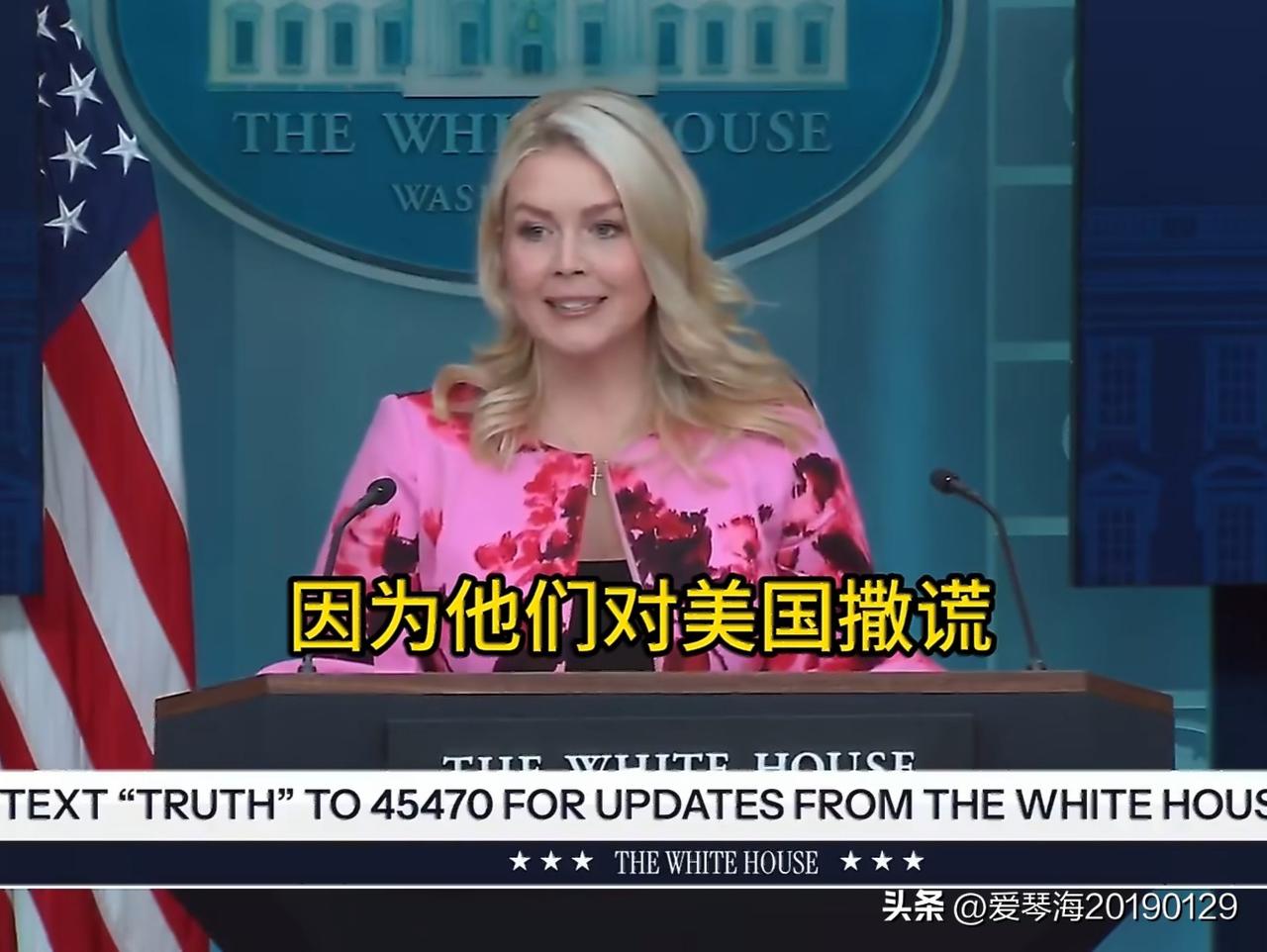 凌晨醒来，被美女莱维特一段讲话惊呆了，她笑着说: “因为他们（伊朗人）撒谎，在谈