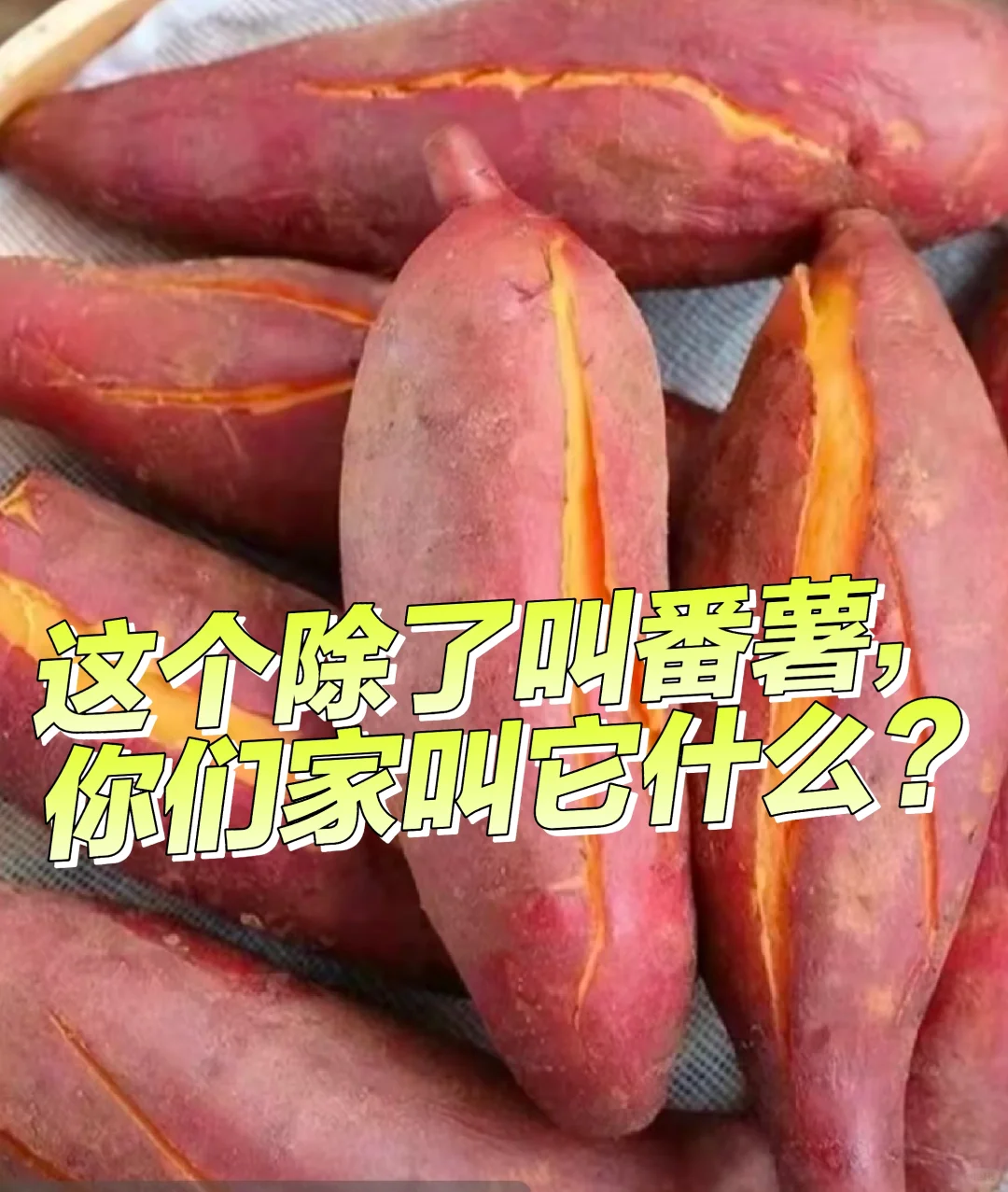 我们家从小就是叫它番薯，还有其他叫法吗