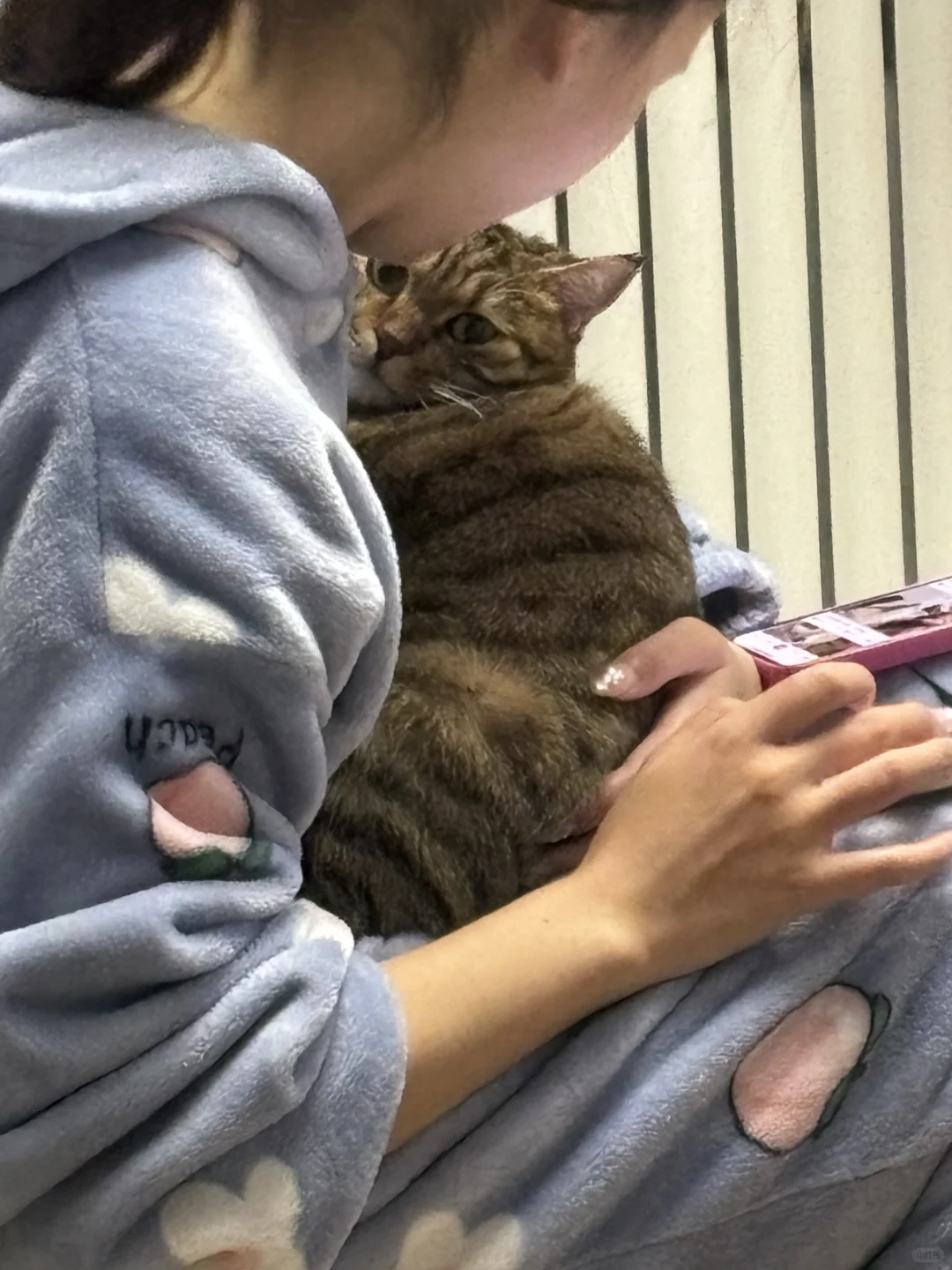 老公说我的猫讨厌他