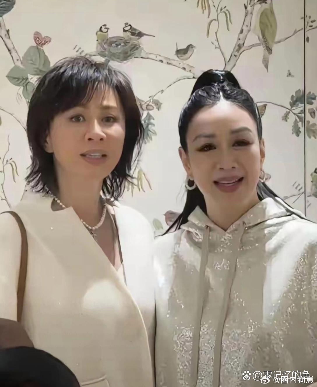 刘嘉玲同钟丽缇同框亮相，两位美人各有独特韵味 