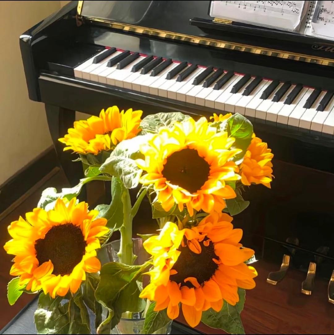 把心放宽一点，把脚步放慢一点，不焦虑、不内耗，好好生活，慢慢发光。愿我们都被温柔