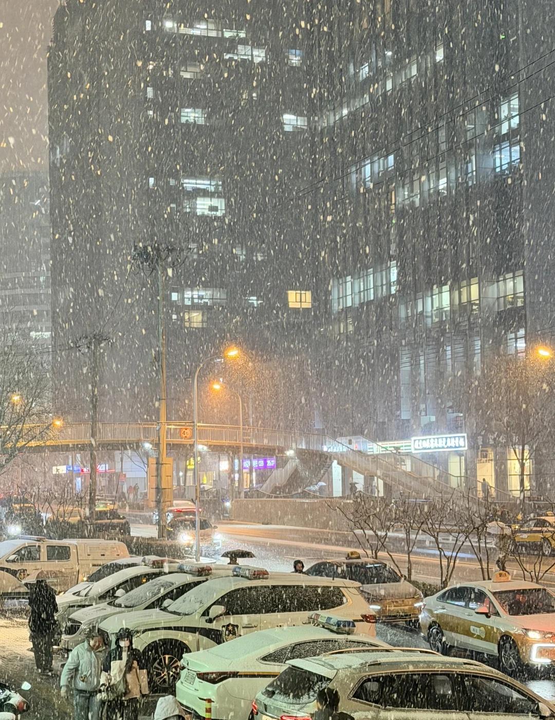 突如其来大暴雪❄️❄️❄️
雪一落就美成了诗 北京大雪 突然下的一场雪 今天下雪