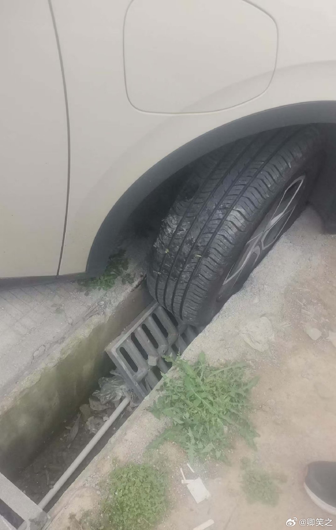 家人们，方向盘要怎么打，愁死我了 