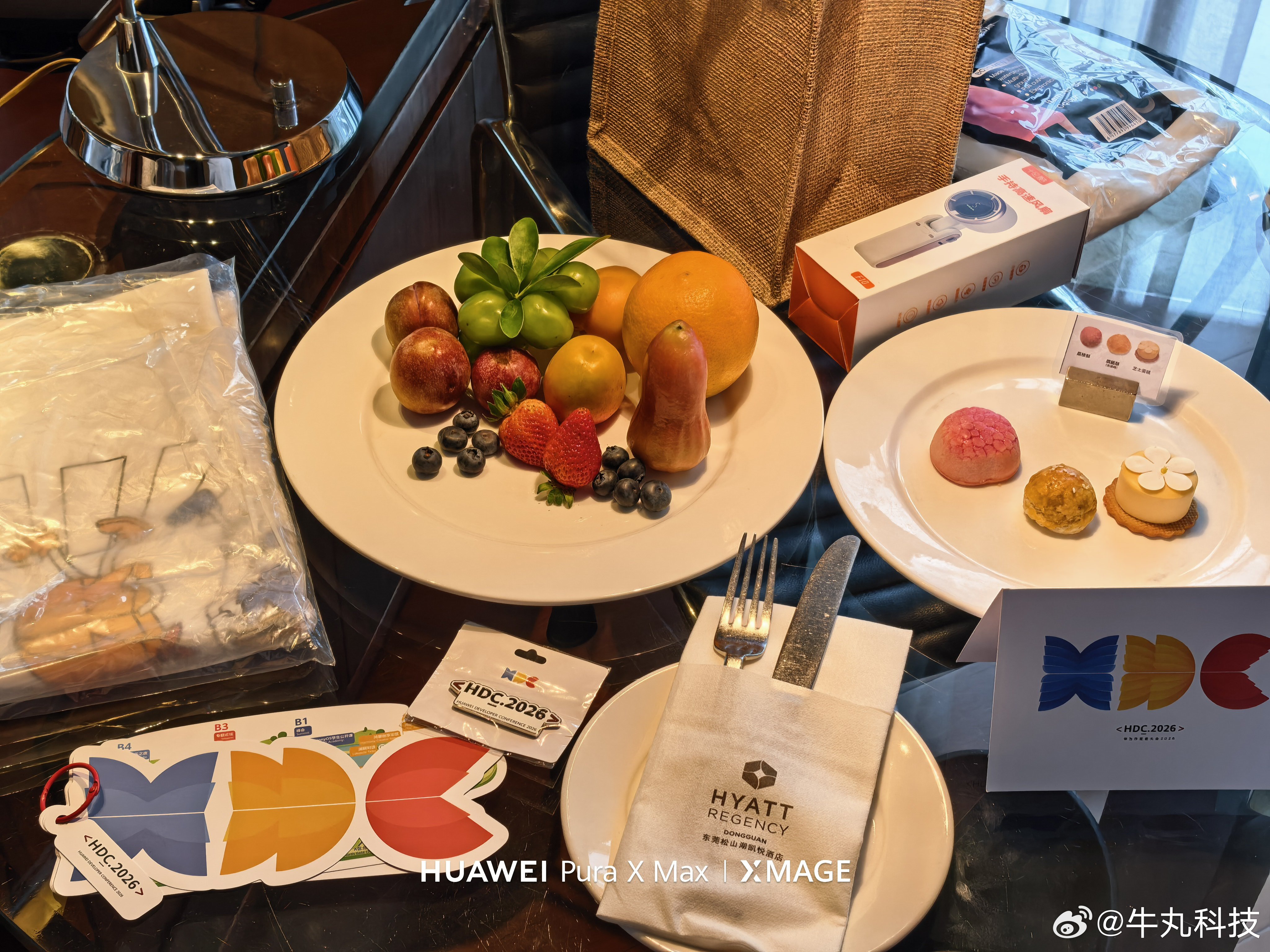 嘿嘿，牛哥已经抵达华为开发者大会2026酒店啦，依然松山湖凯悦酒店！今年送的背包