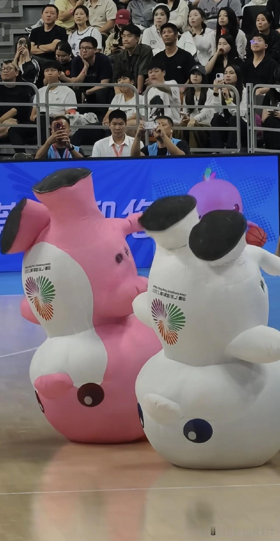大湾鸡升级了！会倒立跳舞了！
 
谁能想到全运男篮赛场，最火的不是球员是俩吉祥物
