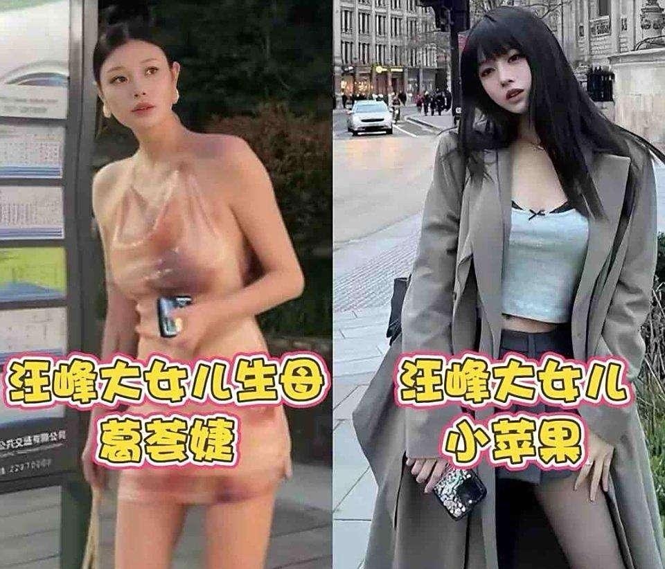 汪峰带孩子出门，这三个女儿，妈不同，气质也各有千秋～小苹果妈妈葛荟婕是模特，小苹