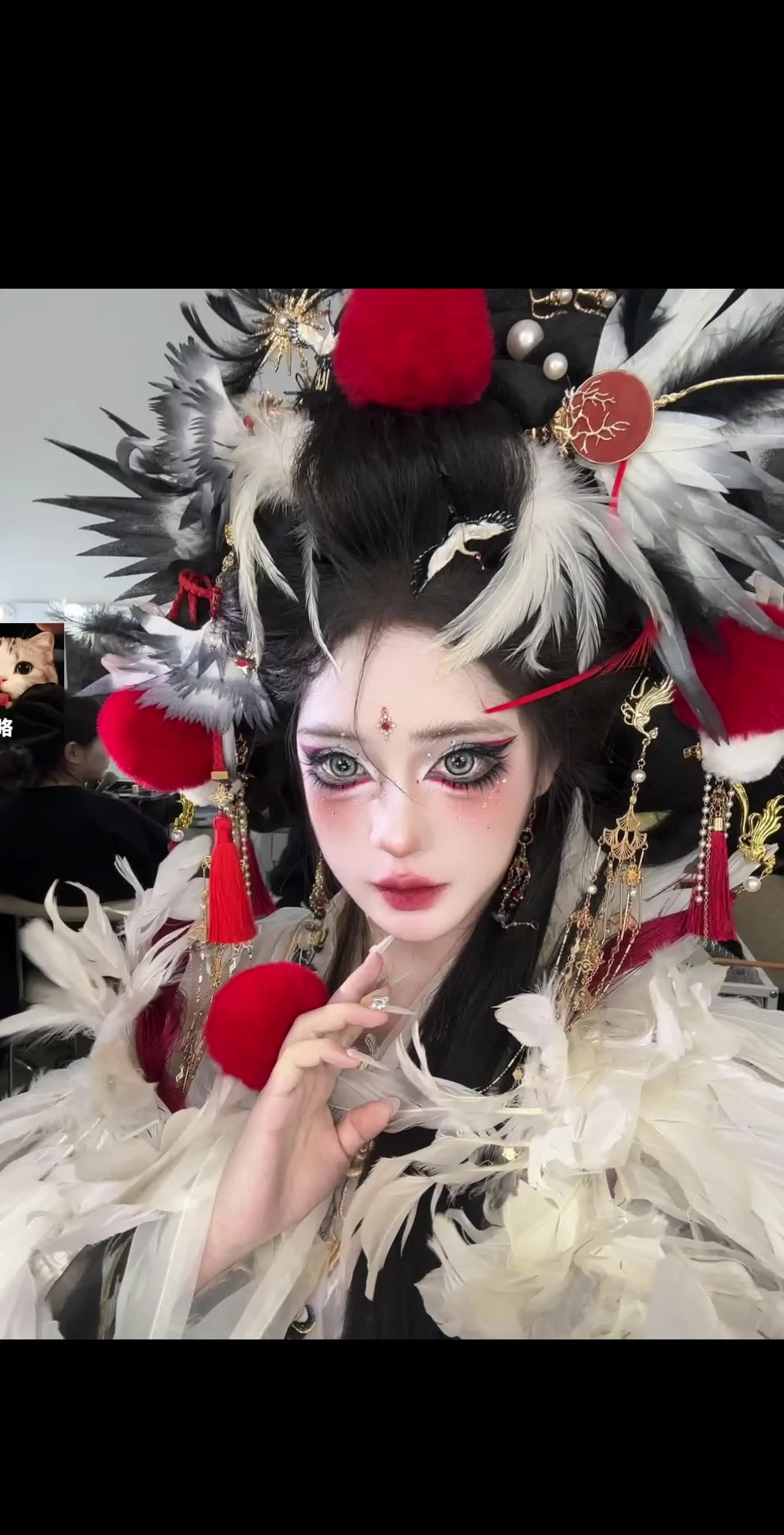 准备做一个动物园出来！