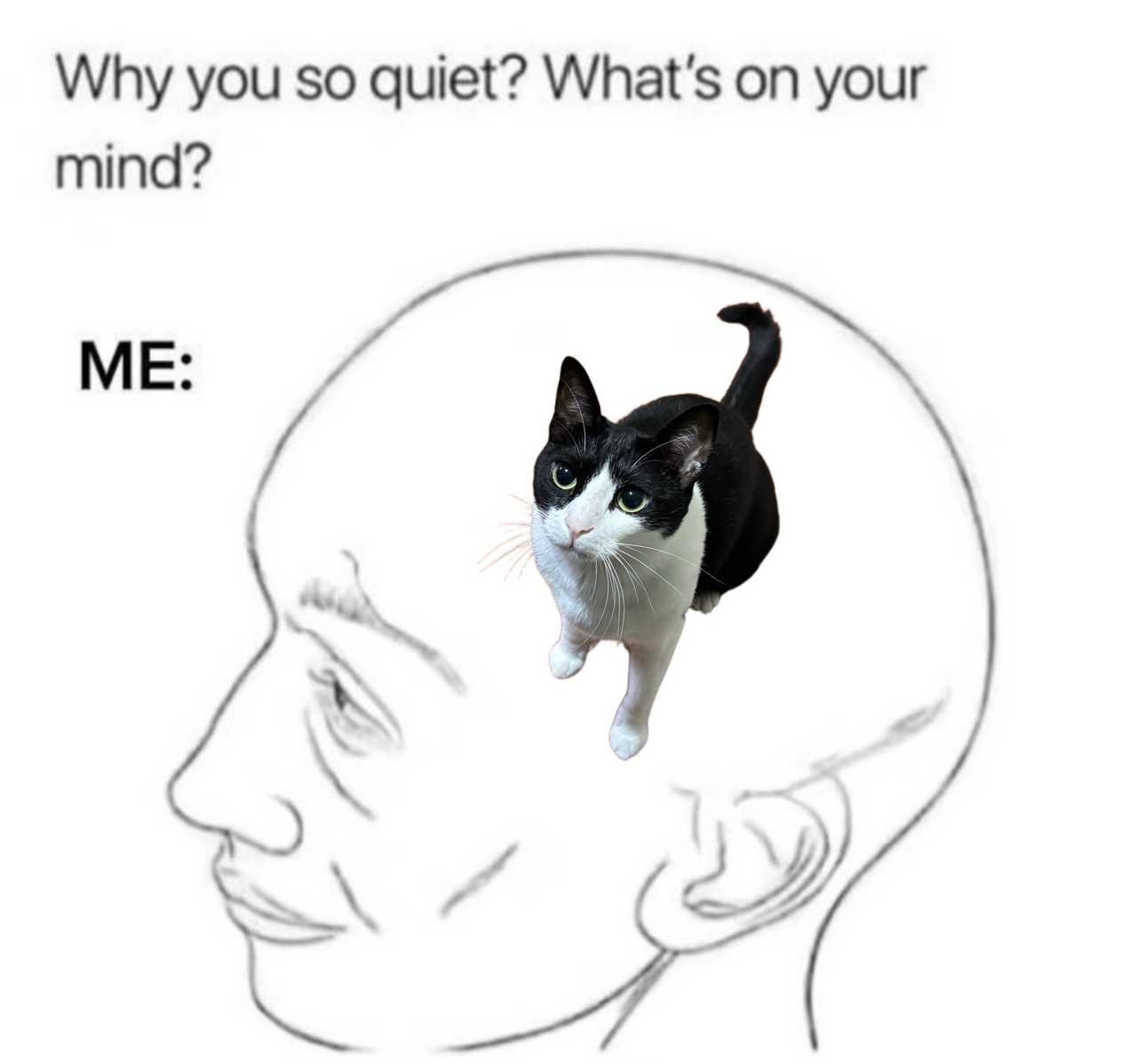 me：奶meme （投稿：） 