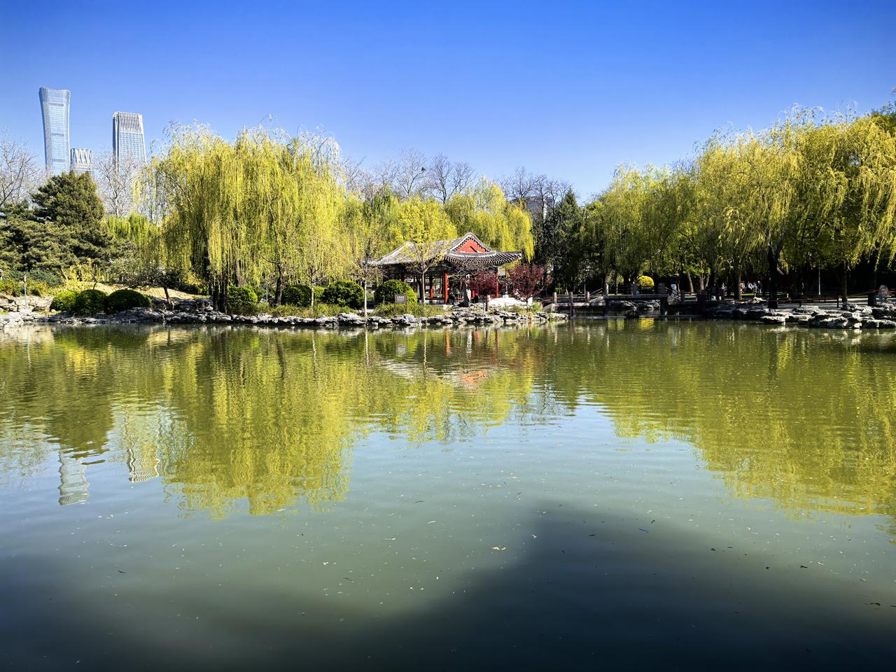 日坛风光
分享一张花开的图片