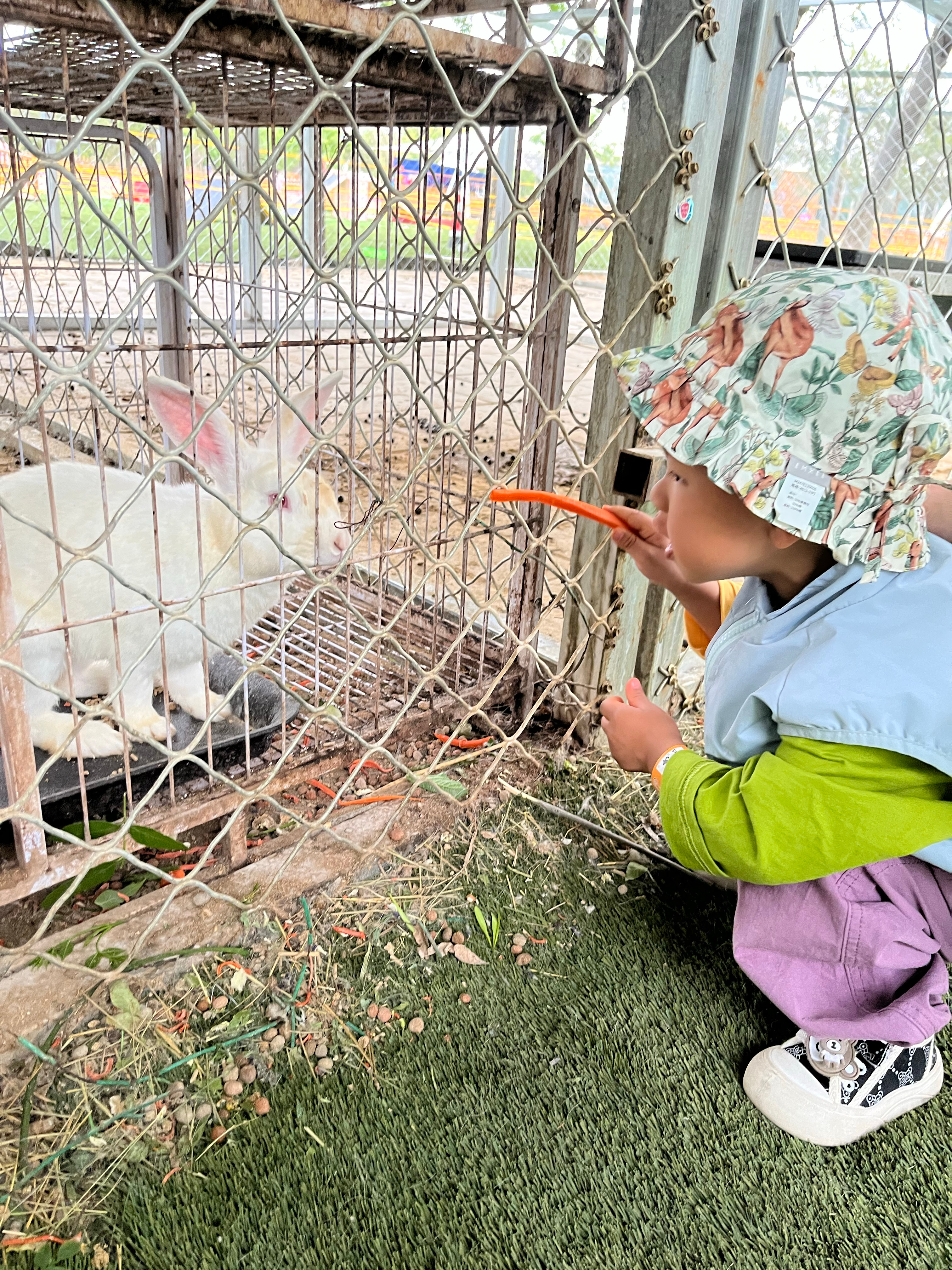 五一假期最后一天立夏小嗯仔成长记 来动态听奶声[羞嗒嗒]和小可爱的五一快乐时光 