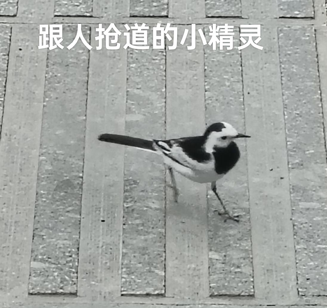 这股市短期来说就是赌场。经济平稳向好，官媒发声，监管堵漏补缺，各种利好碰头，上周