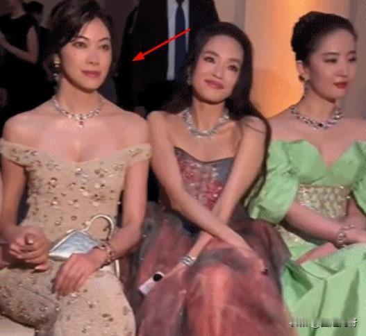 舒淇体面！
舒淇和刘亦菲、安妮海瑟薇同框合影，被身边的女艺人挤到耸肩，都没有往天