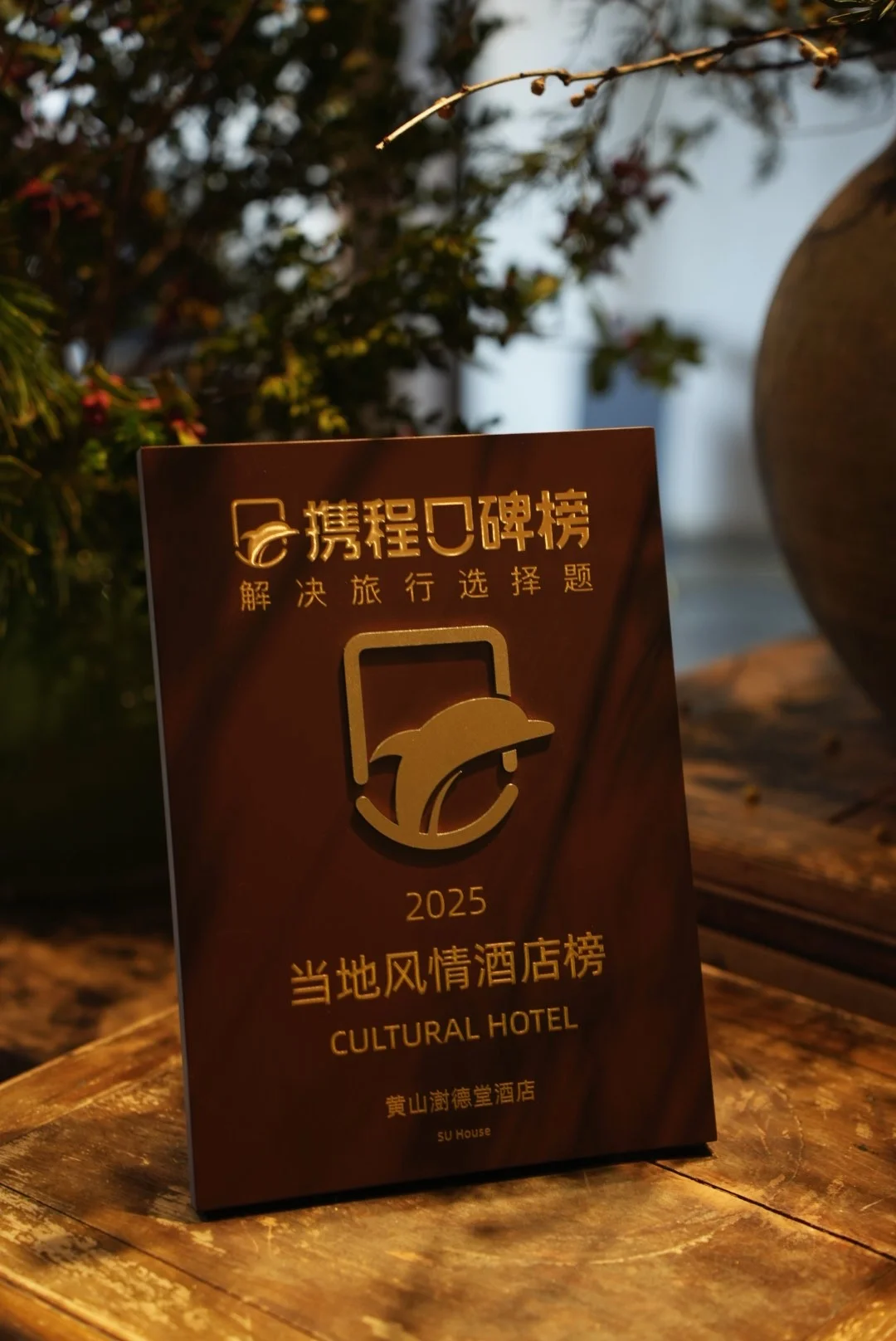 小澍又双叒叕获奖啦！！！