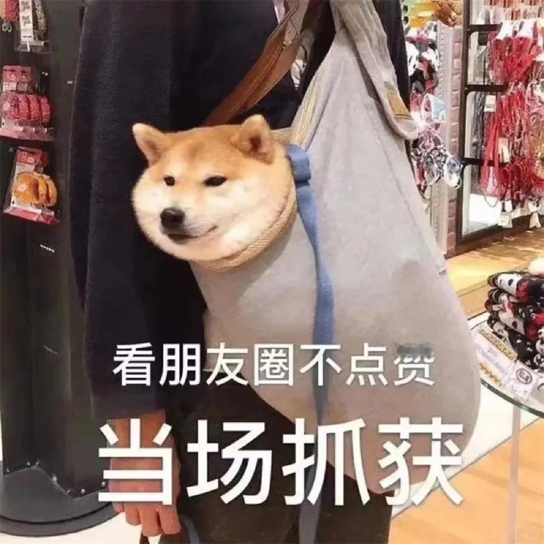你支持朋友圈开通访客功能吗想当年QQ空间就是有访客功能的，想隐身是吧，那得开黄钻