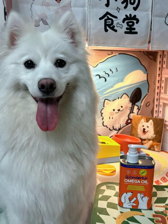 掉毛怪如何变成蓬松小面包🍞