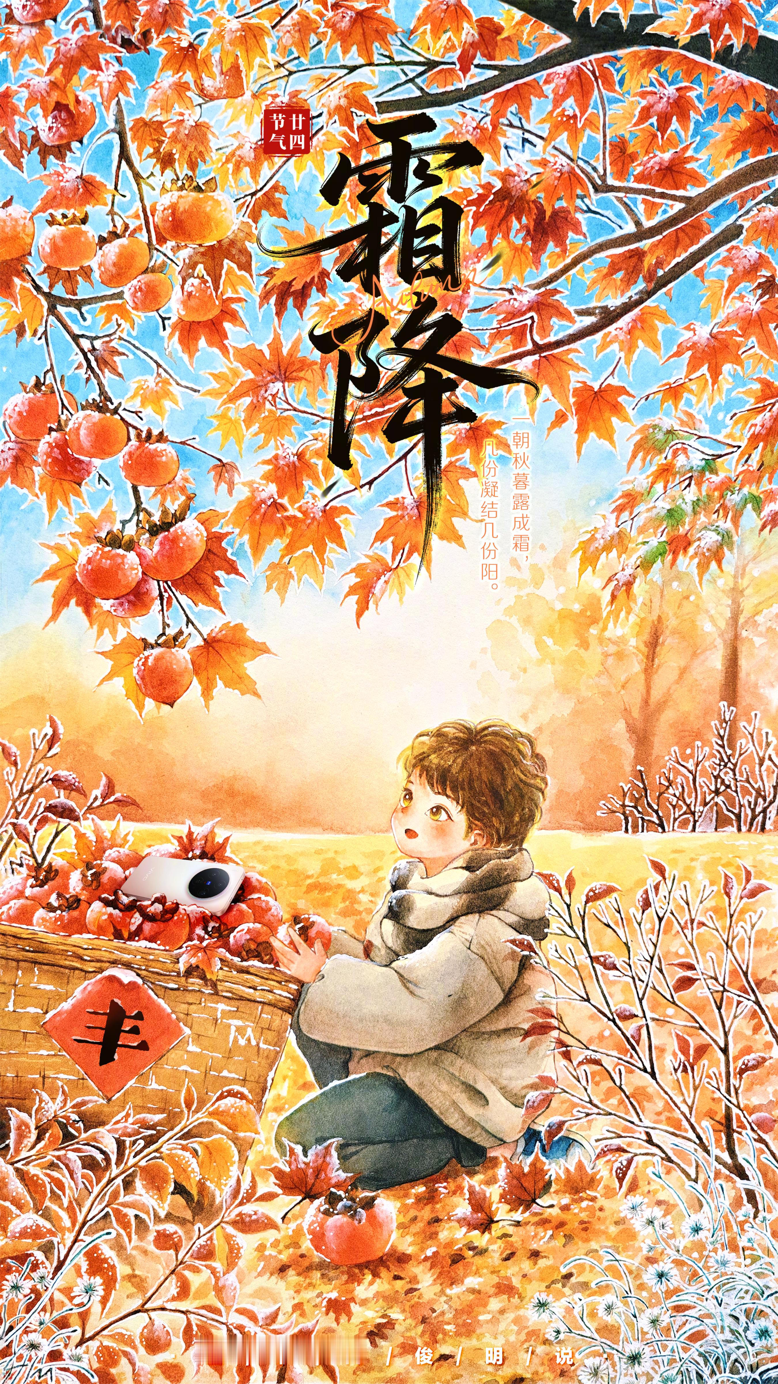  霜降 至，枫叶红透，柿子挂满枝。秋霜给草木镶上一层白边，就着冷意蹲地拾甜柿，烟