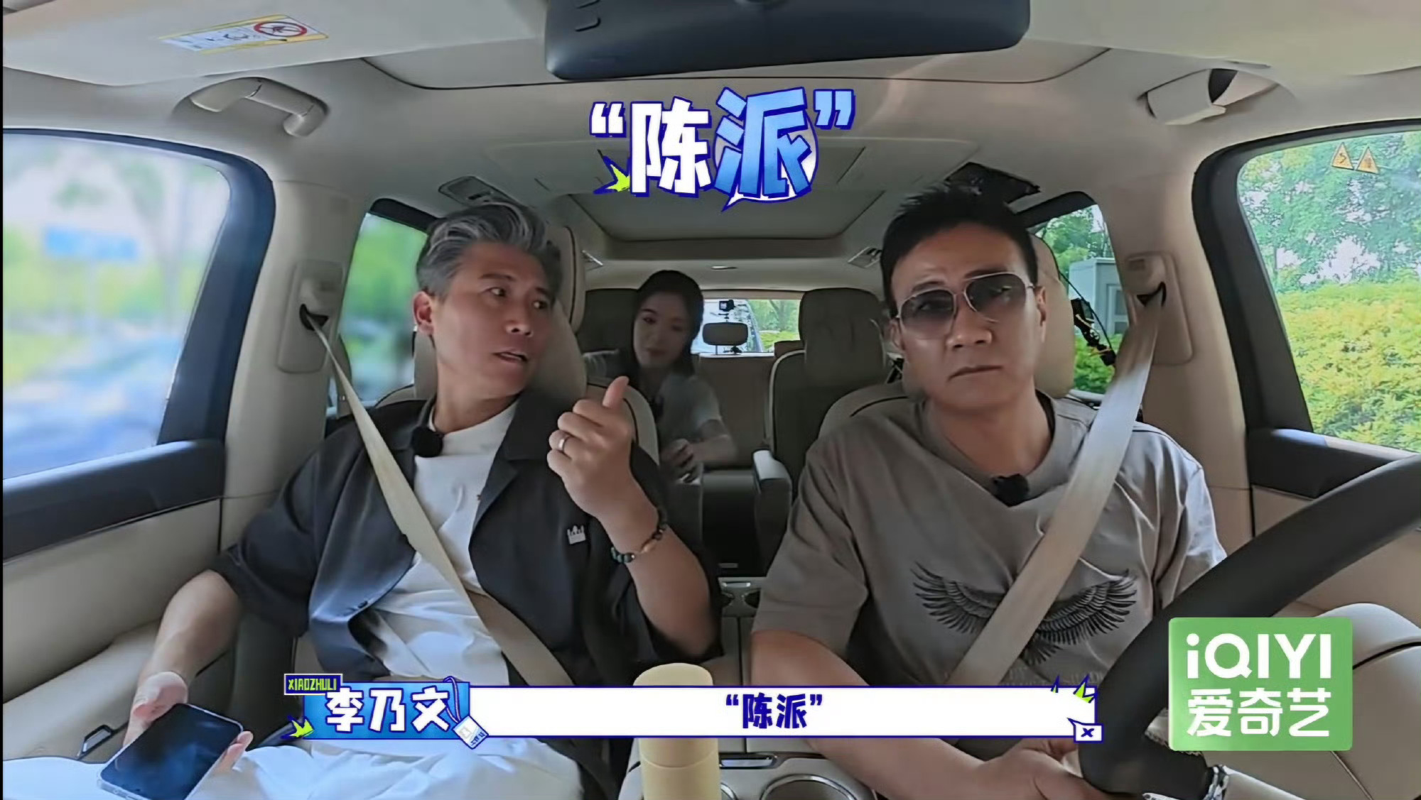 陈派宗师陈丽君 ​​​