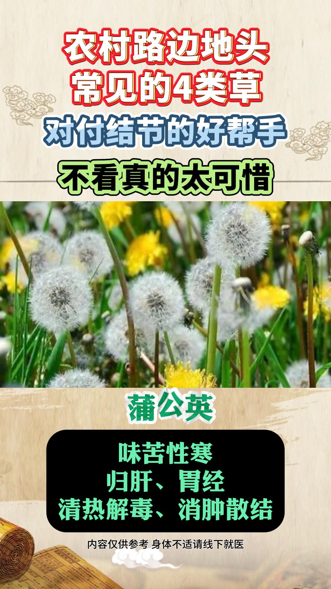 农村路边常见的4类草，对付结节不手软。