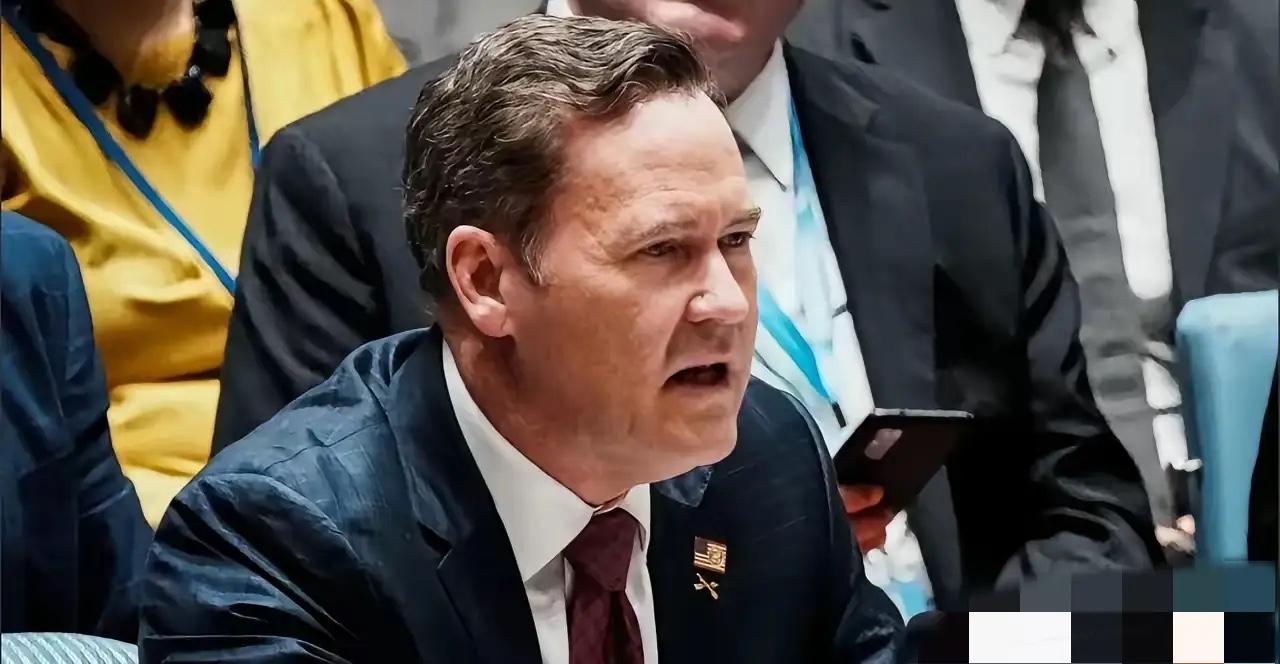 3月20日，美国驻联合国代表沃尔兹说了一句让所有人都惊掉下巴的话。他说：“持续支