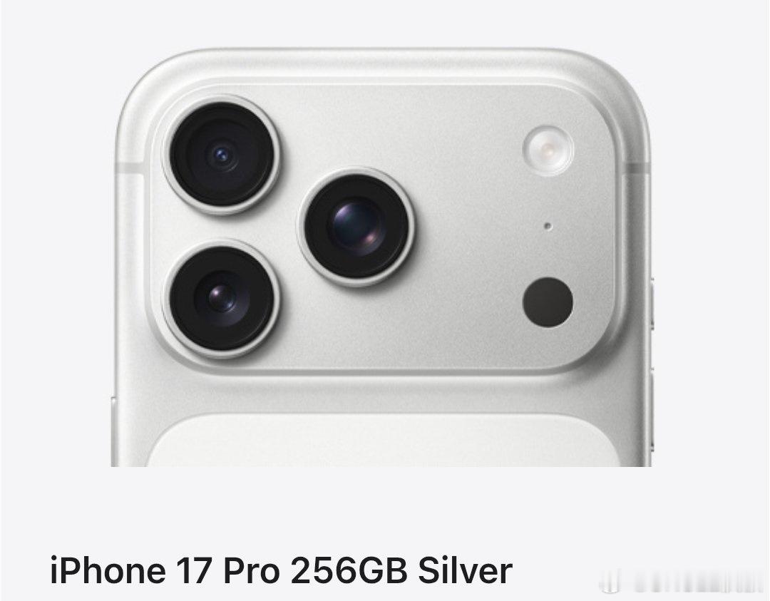 国外网友投票选出了iPhone 17系列最纠结的组合：256GB 的iPhone