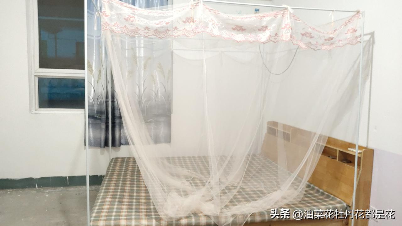 因为之前连续两个早上被蝇子扰了美梦，我一气之下买了个小蚊帐子，正好用在我一米二的