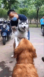 兄弟，给个面子