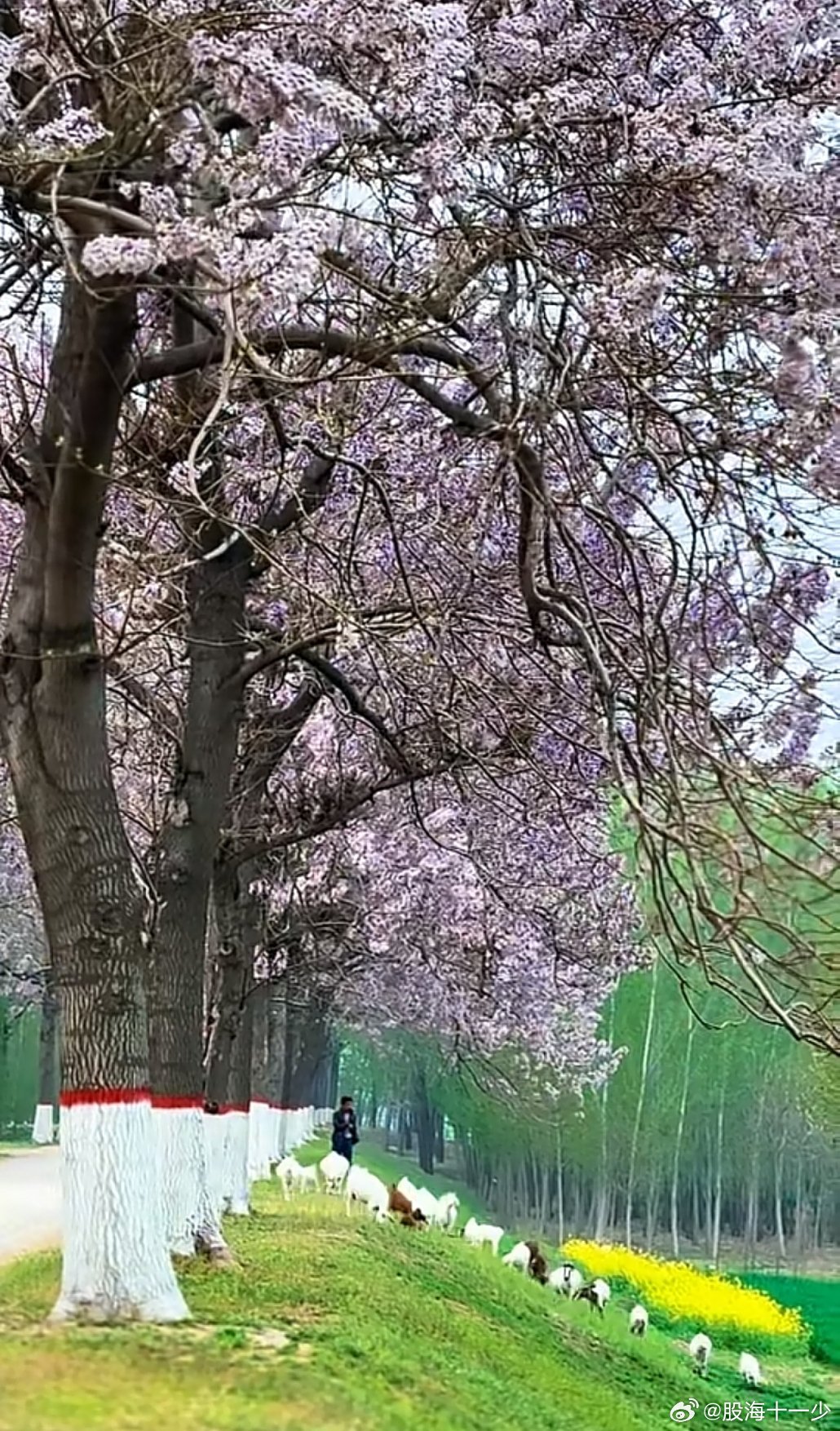 三月春寒未肯休，万般不顺扰清愁。纵有繁花开陌上，心头难起半分柔。 