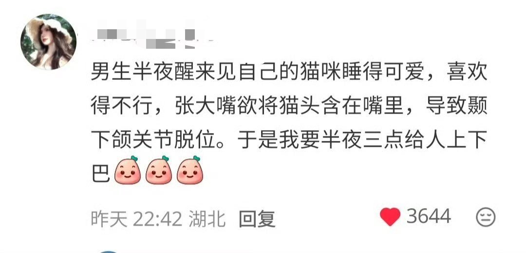 《捡猫》后期猫孝子形态老风belike ​​​