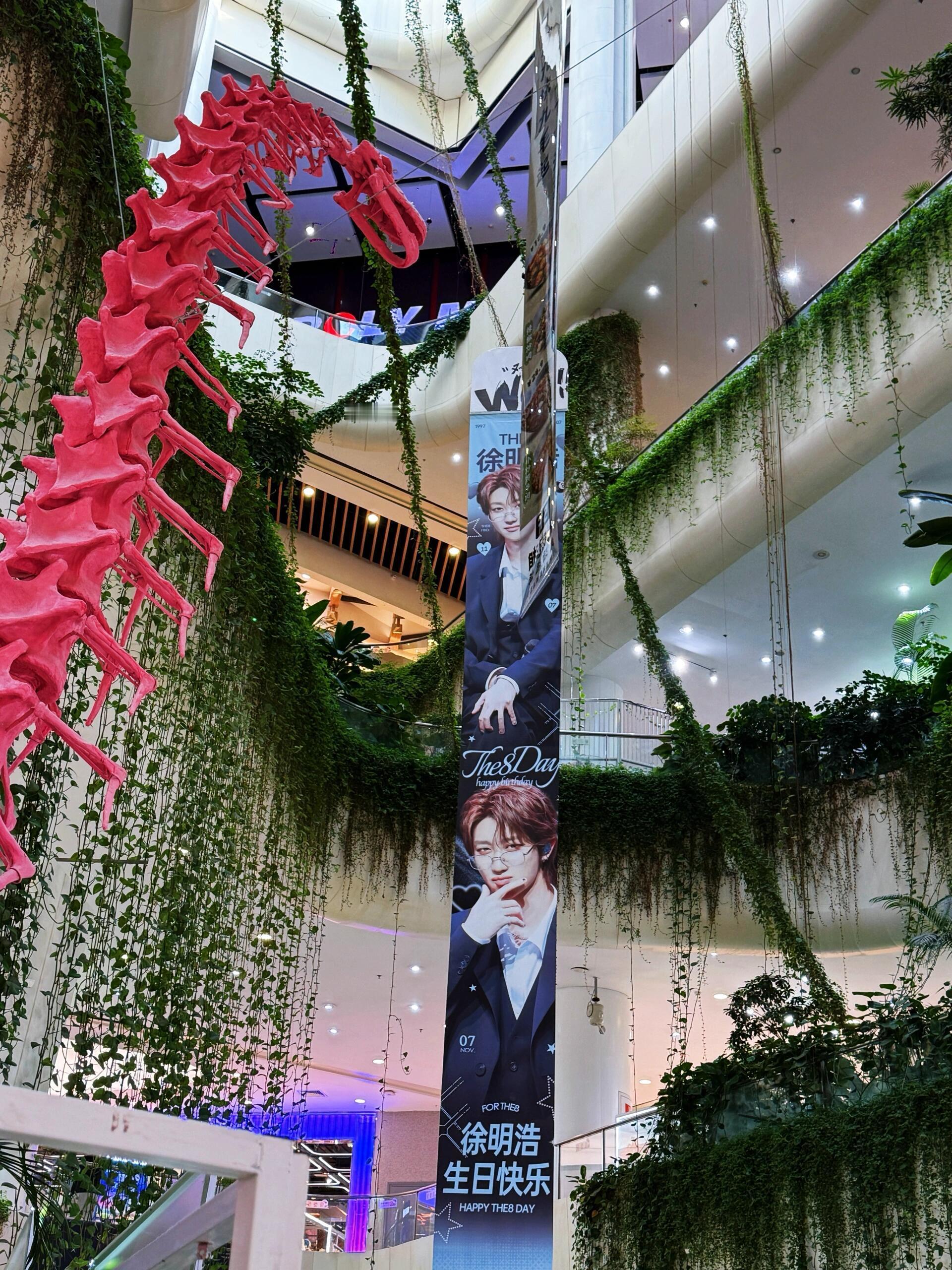 徐明浩北京生日痛楼 徐明浩北京生日痛楼🈶承包整个商场来庆生排面拉满！花墙+立牌