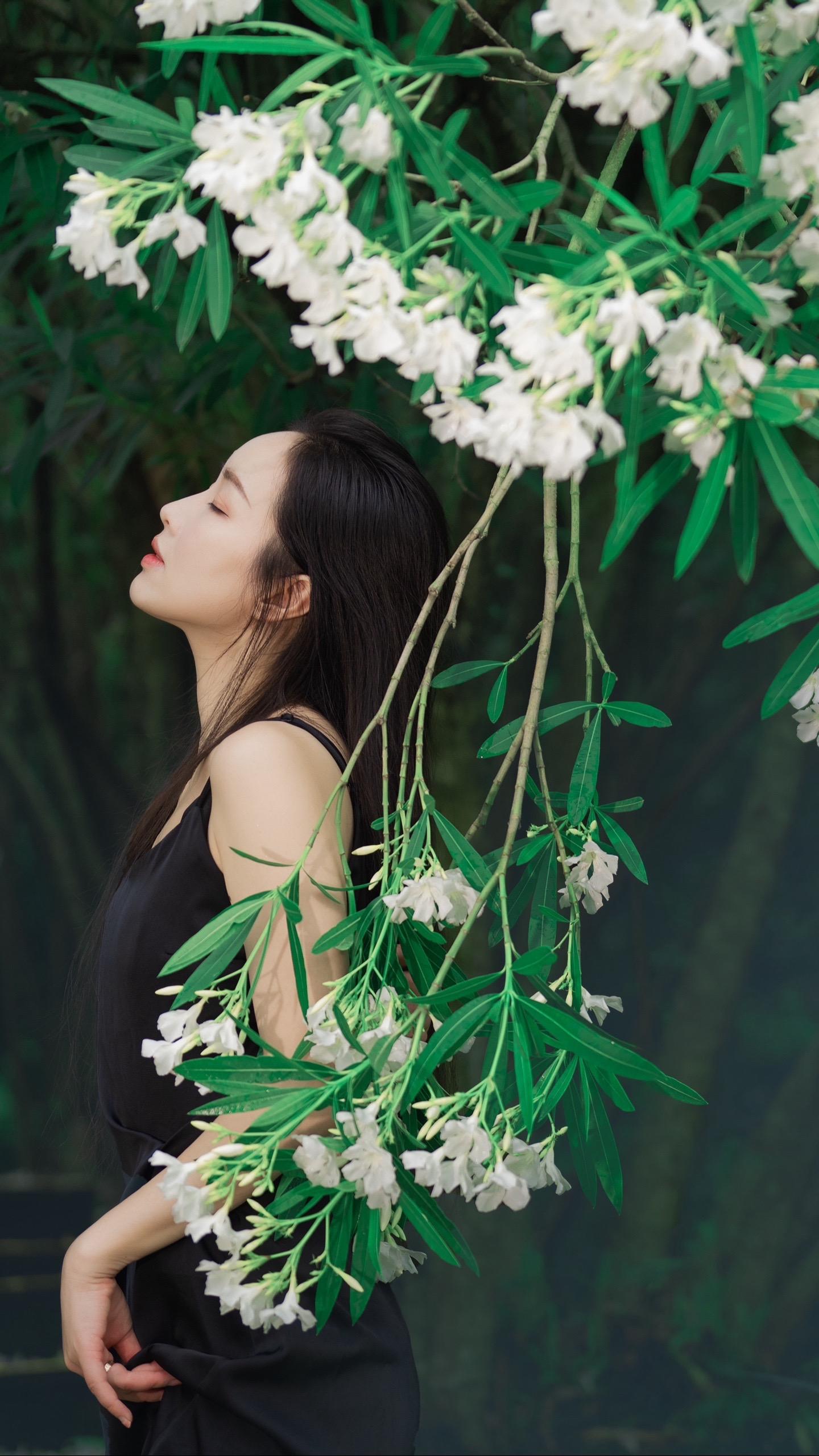 在雨后的晨曦中苏醒，将所有的心情都清零