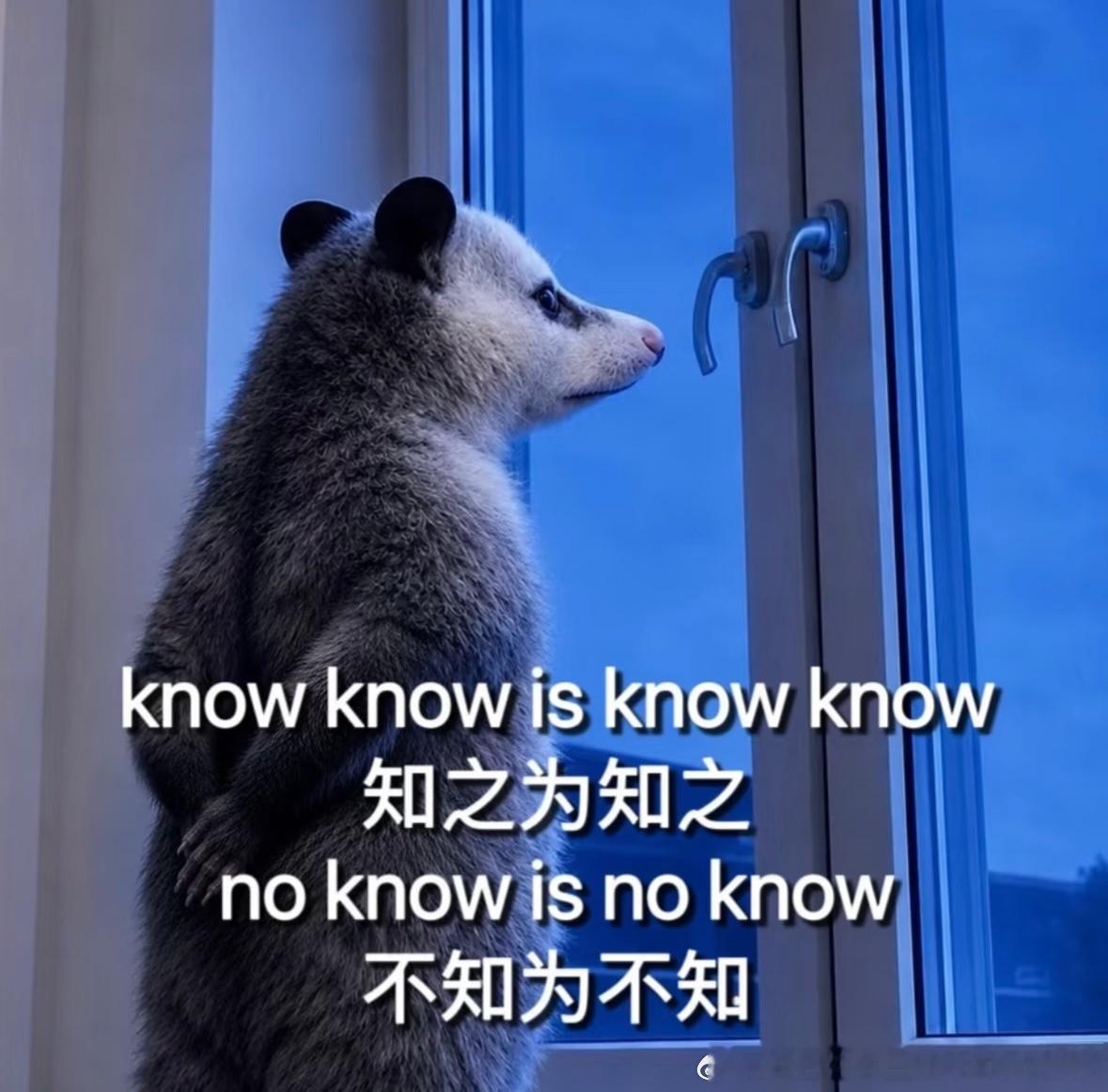哈哈哈哈哈哈。怎么办，爱他无法自拔了。每天都要看这个鼠。 