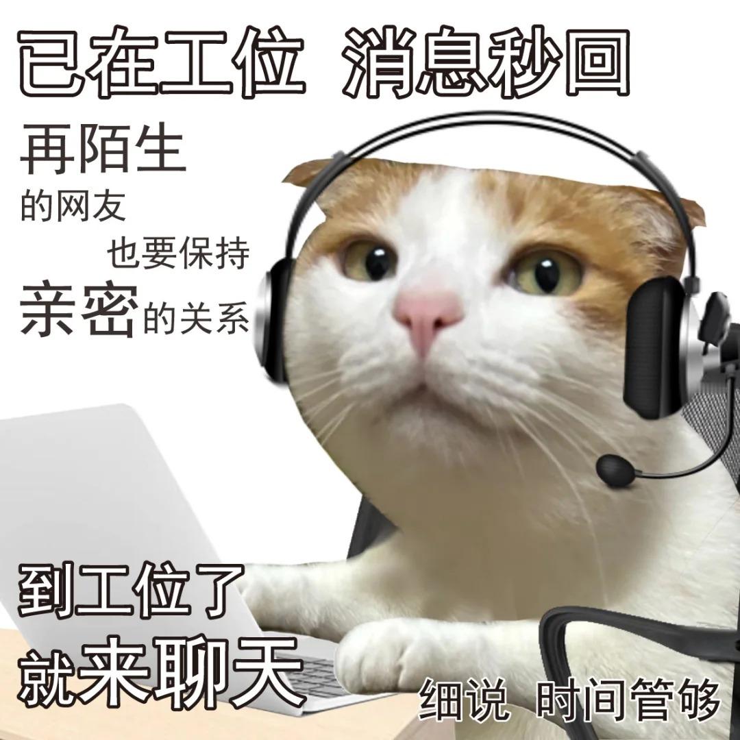 队长问题在线收集贴 队长已在工位 所有业务全面 开启速来！ ​​​