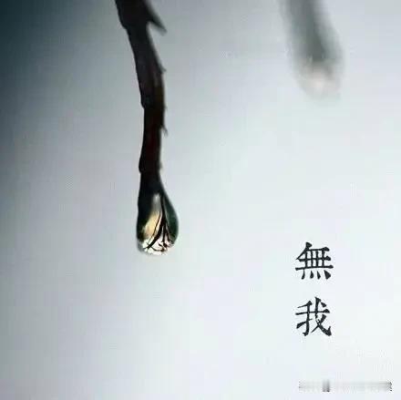 做一个普通人确实很累，一辈子都在努力解决生存问题！努力打工攒钱，买车买房娶媳妇，