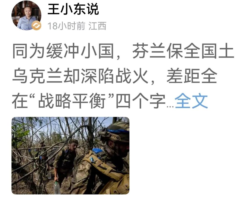 王小东差矣！王小东认为俄邻国芬兰能保全国家而乌克兰深陷战人，是因为芬兰“战略平衡