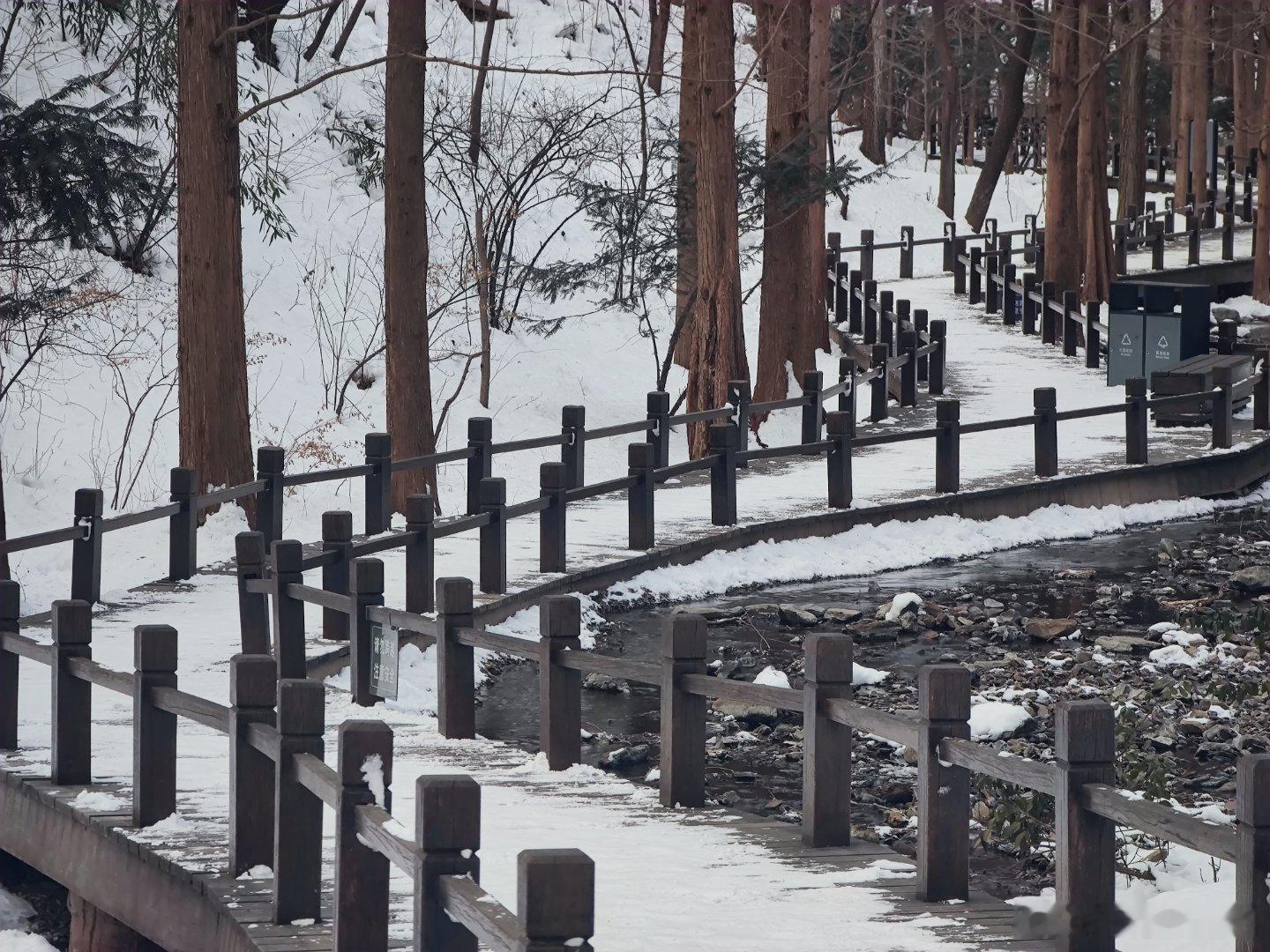 国家植物园樱桃沟无人雪景摄影