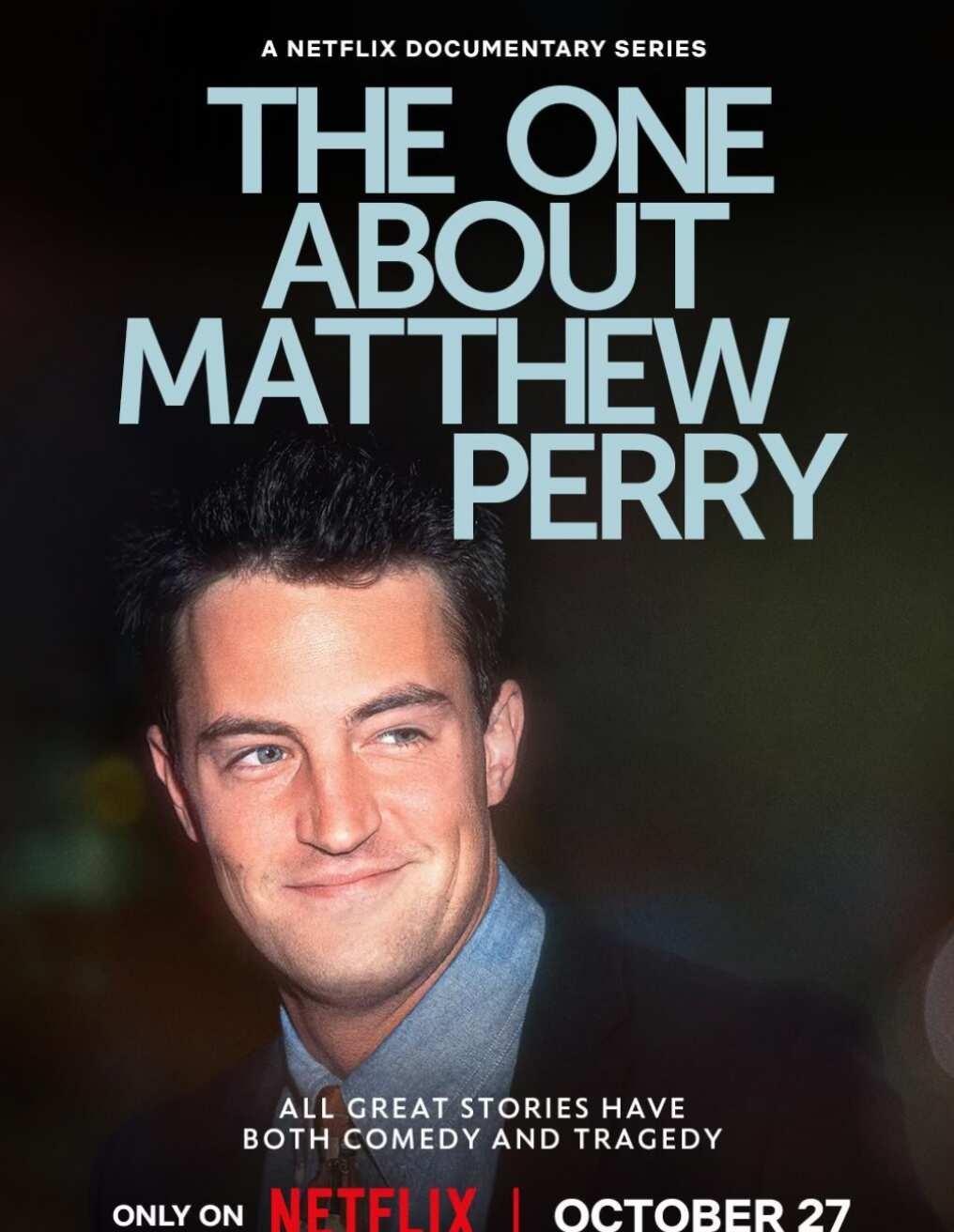 我一直觉得Matthew Perry 是现实中最接近 BoJack Horsem