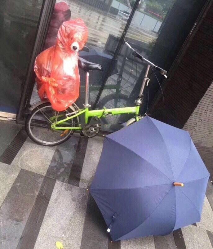 下雨天被保护的严严实实的狗子哈哈哈