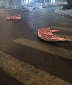 这能不能捡回家？ 