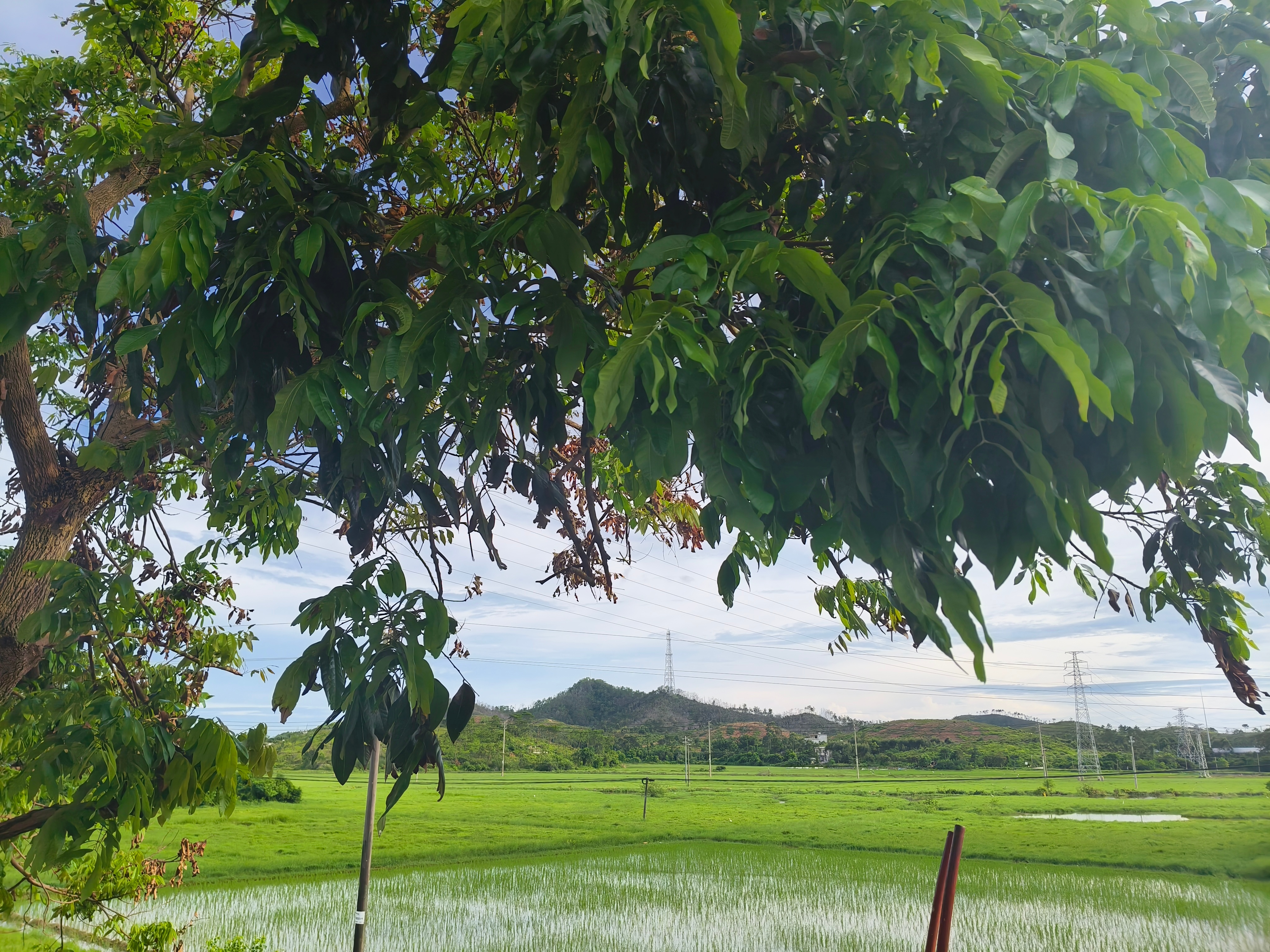 下乡了🌾田园风光 