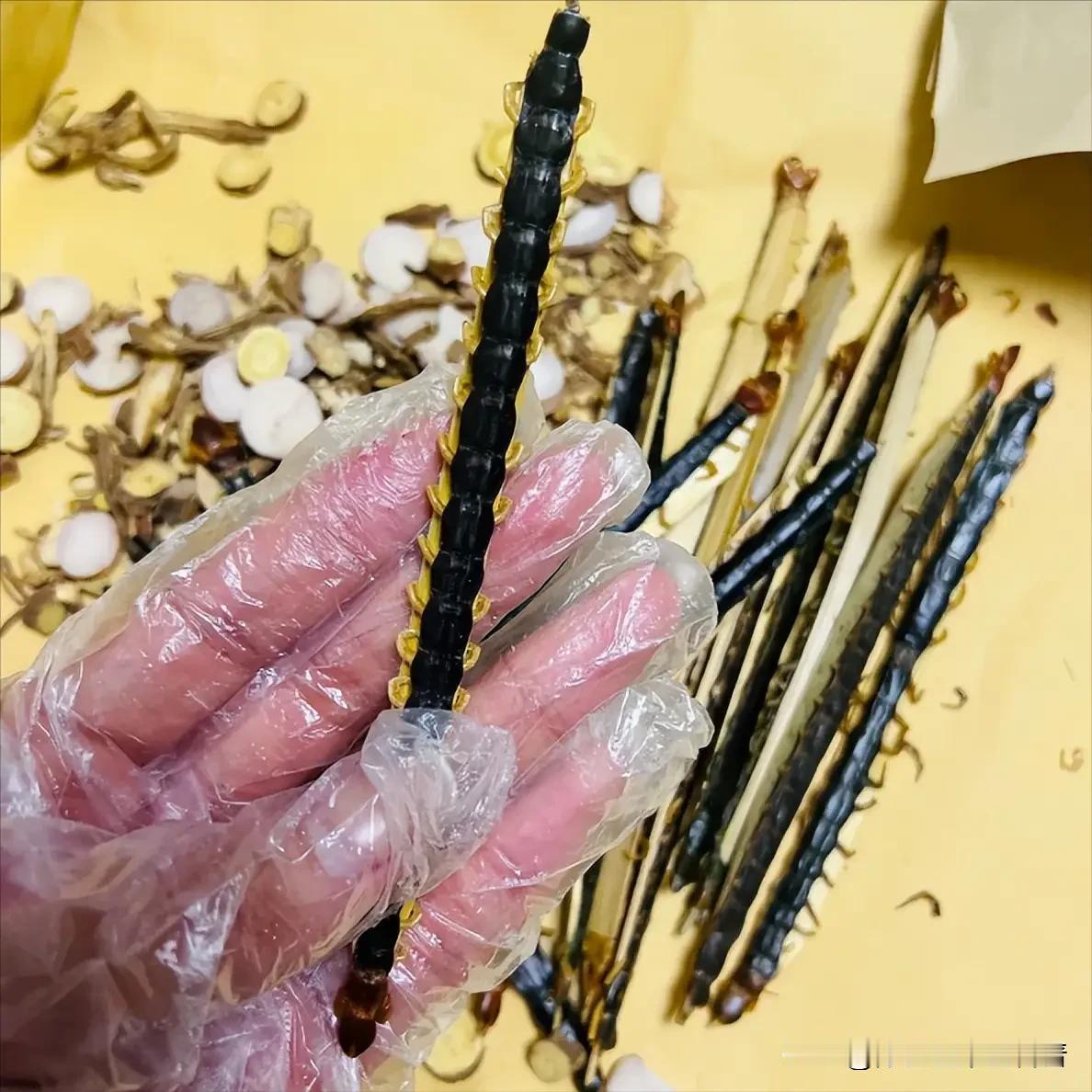 阳痿早泄非“顽疾”！一味中药破瘀通络，唤醒宗筋气血
 
大家好，我是陈大夫。
 