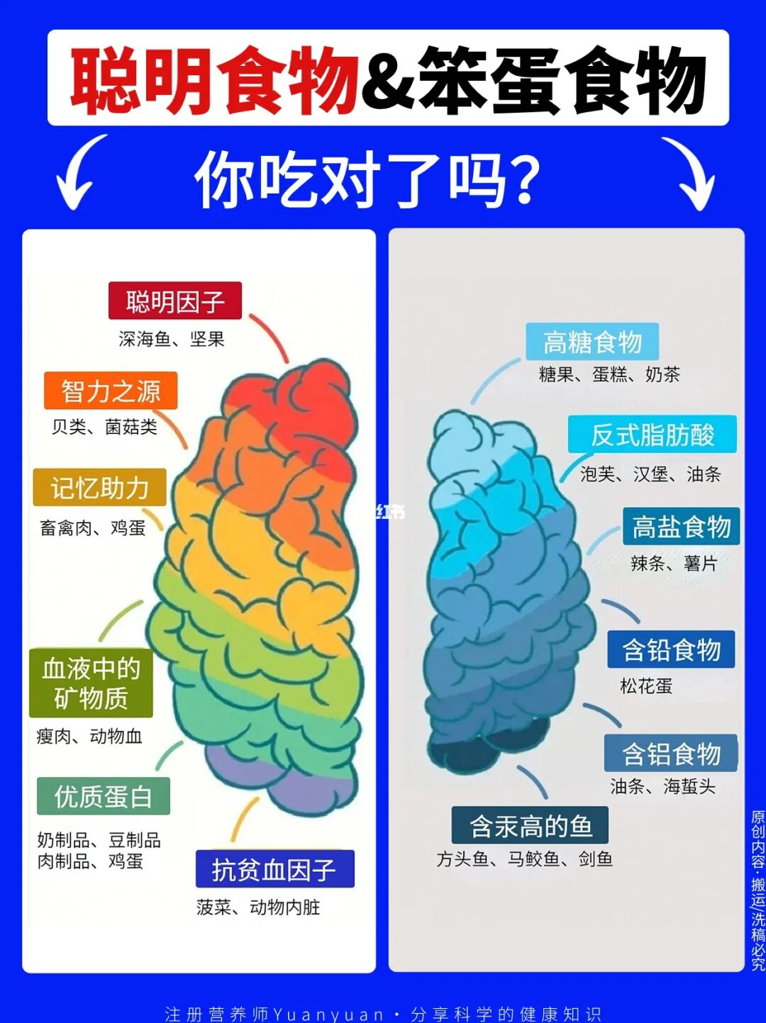 越吃越聪明的食物vs笨蛋食物 你吃对了吗？